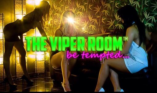 The Viper Room Fairfield Brothel 7