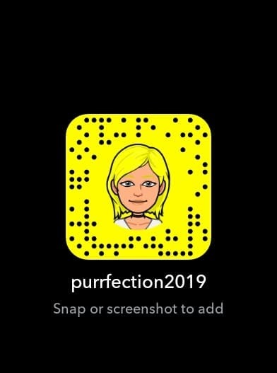 Purrfections Brothel & Escort Services, Torrensville, SA
