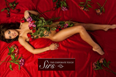 Sirs Sydney Massage Studio 4