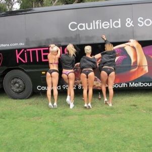 Kittens Strip Club Melbourne Services 7