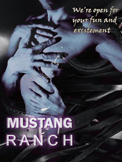  Mustang Ranch Canberra Gay Venue Fyshwick ACT