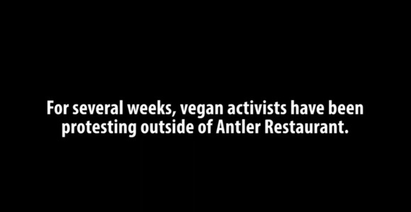 Trolling Vegan Protesters - Credit: Live Dudes You Tube