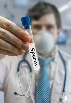 Sperm Donation: The Wank Bank Chronicles
