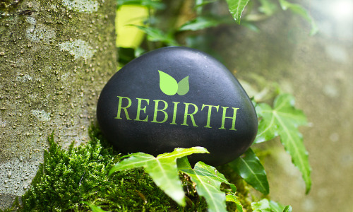 Reincarnation: Been There Done That
