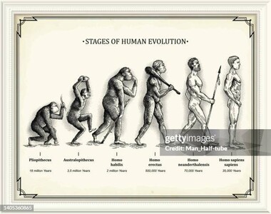 Stages of Human Evolution - Credit: Getty Images