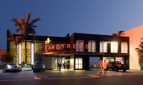 The Power of a Langtrees Lady: Glamour, Drama & Ohana