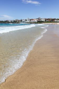 Bondi Beach
